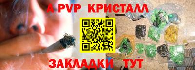 крисы Малгобек
