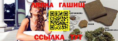 крисы Малгобек