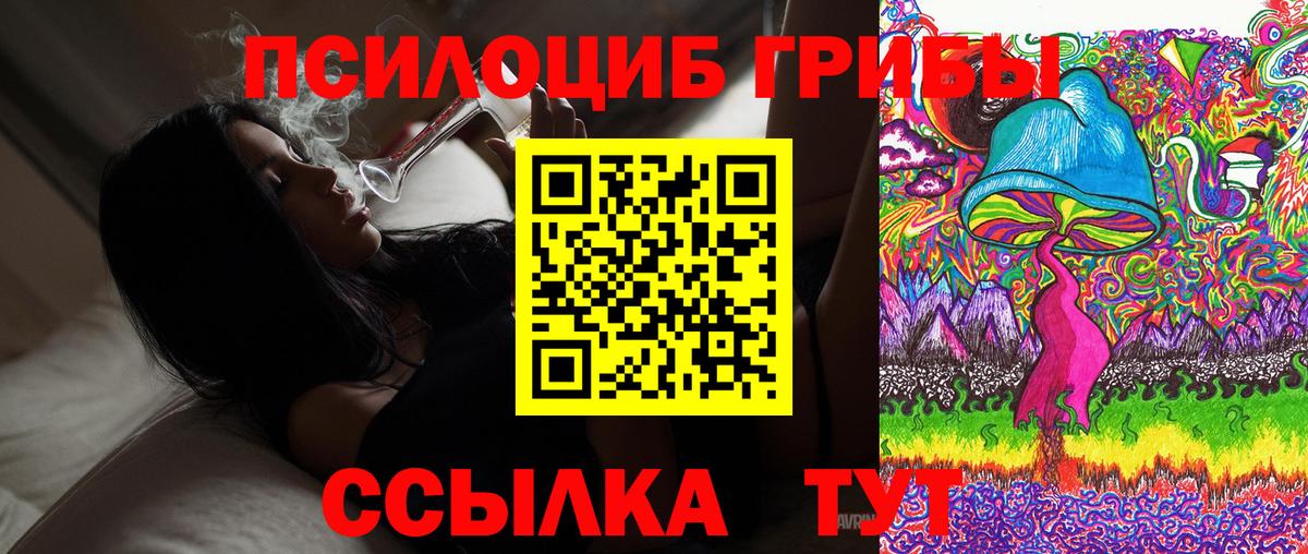 Галлюциногенные грибы GOLDEN TEACHER Холмск